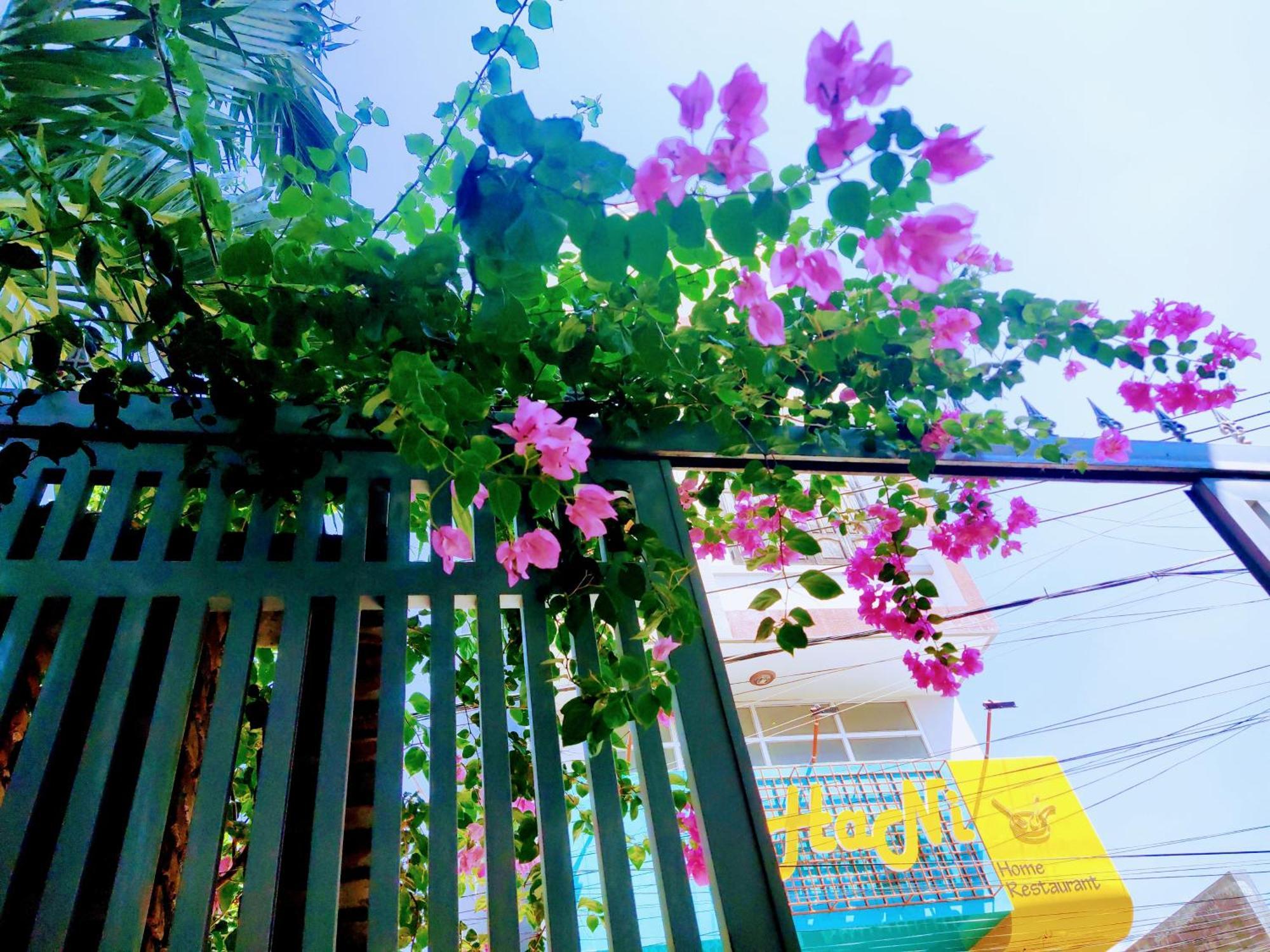 Nap Homestay Kinh Dinh Экстерьер фото