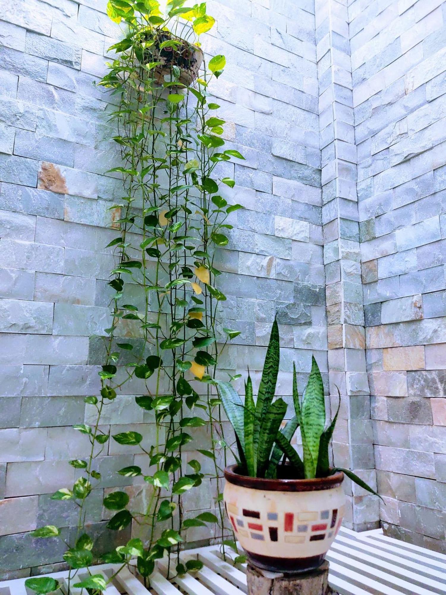 Nap Homestay Kinh Dinh Экстерьер фото